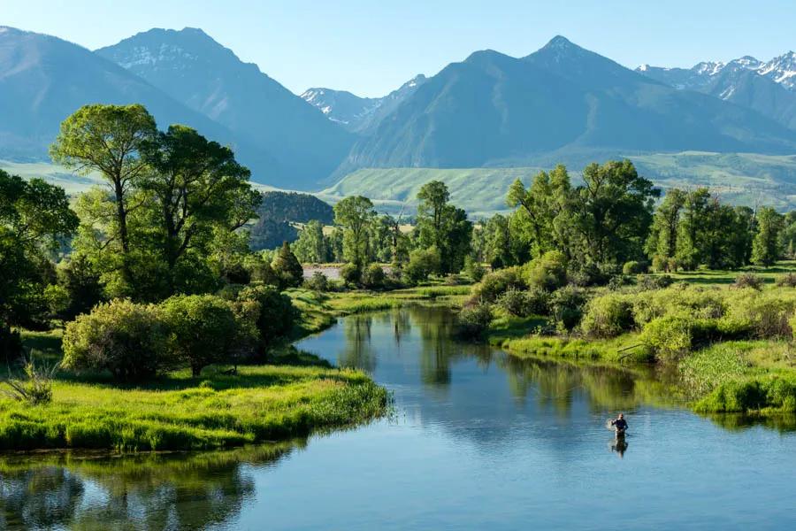 Montana fly fishing trips on the Paradise Valley Spring Creeks Fly fishing DePuy's Spring Creek near Bozeman and Livingston, Montana