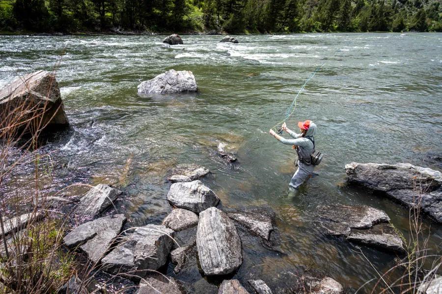 Fly fishing near Bozeman and Big Sky Montana for big trout The Lower Madison and Bear Trap Canyon west of Bozeman, Montana is a reliable fishery for spring time fishing in Montana.