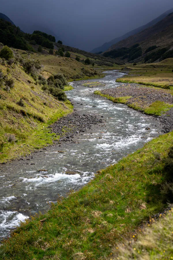 NZ trout river