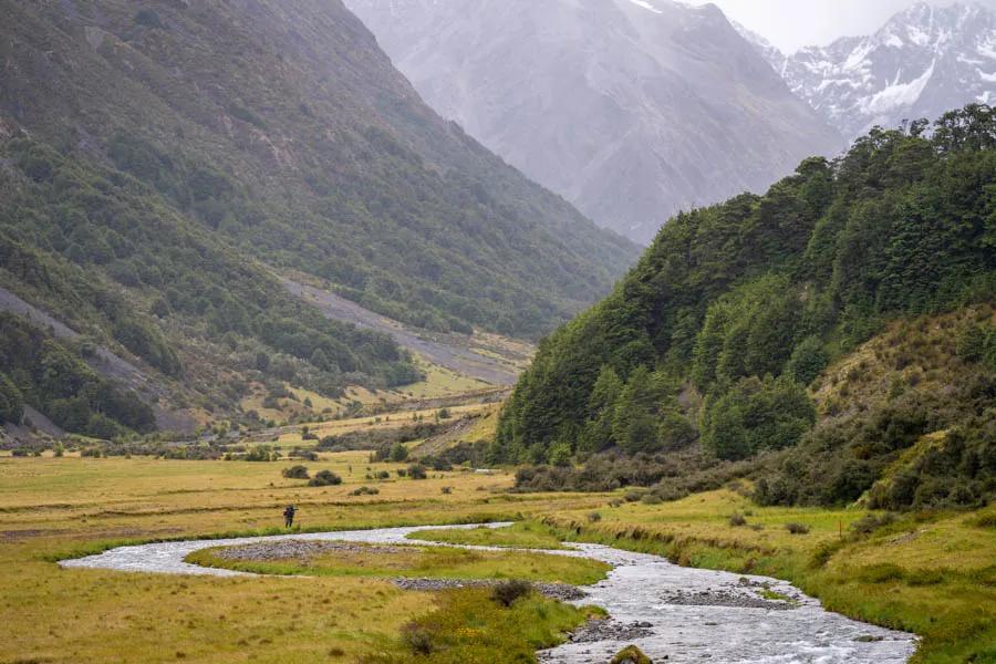 Cedar Lodge alpine valleys in New Zealand Many of the fisheries that Cedar Lodge fishes are high sub-alpine valleys nestled deep within the towering Southern Alps