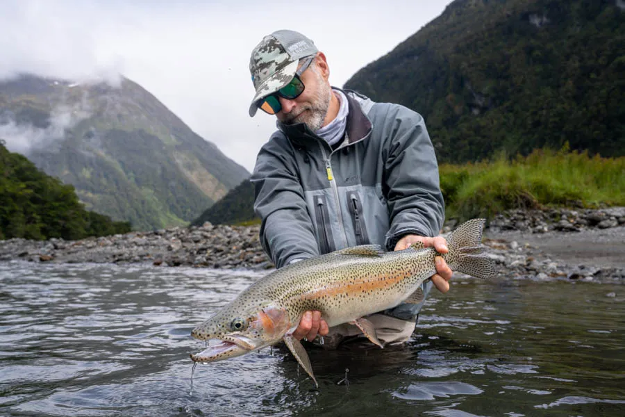 Rainbow Trout South Island