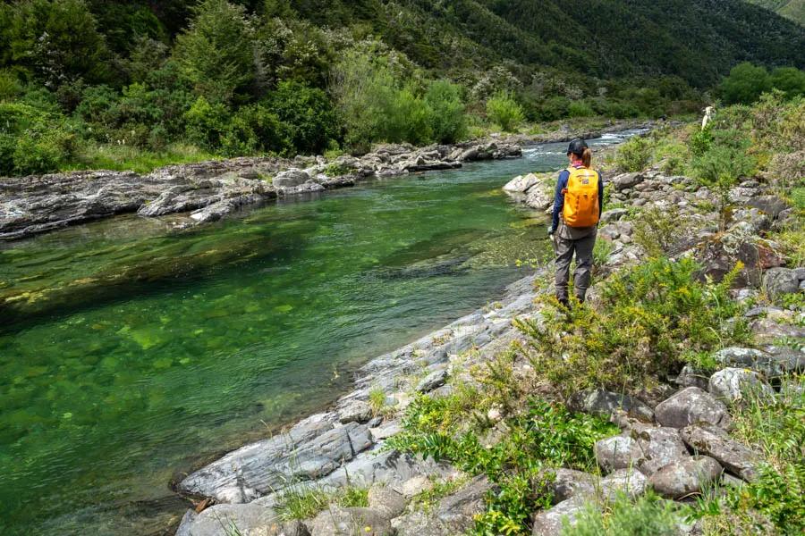 Sight Casting fly fishing in New Zealand Sight casting in New Zealand
