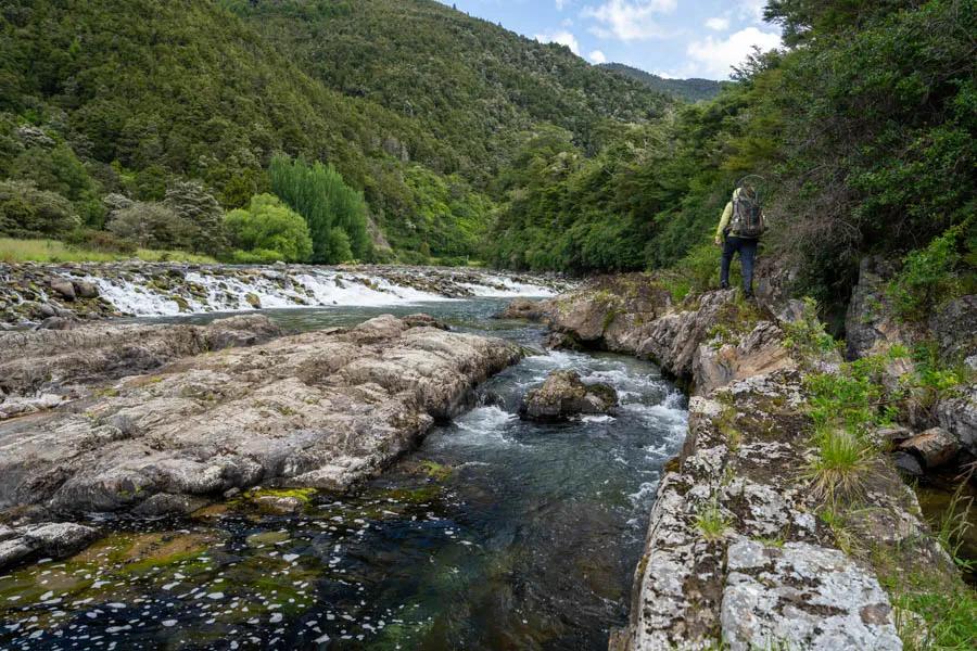 Hiking up New Zealand Rivers Gaining some elevation makes it a little easier to spot fish in the waters below. It is not uncommon to spend 15 minutes "hunting" with your eyes in productive water to spot a trout.