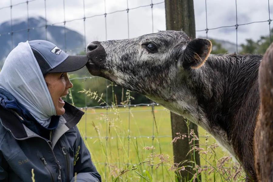 Touring New Zealand Of course sometimes you need to stop and enjoy the New Zealand countryside and make a few friends along he way.