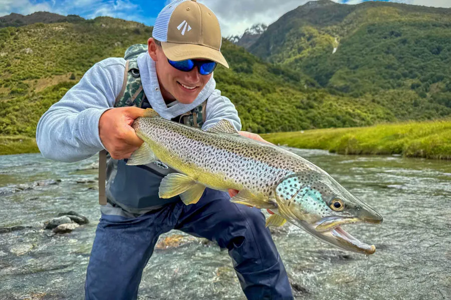 NZ brown trout