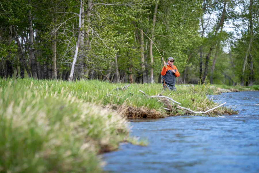 Sweet Grass Creek