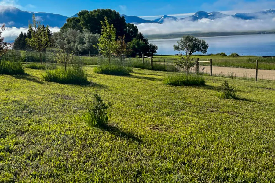 Madison River vacation home