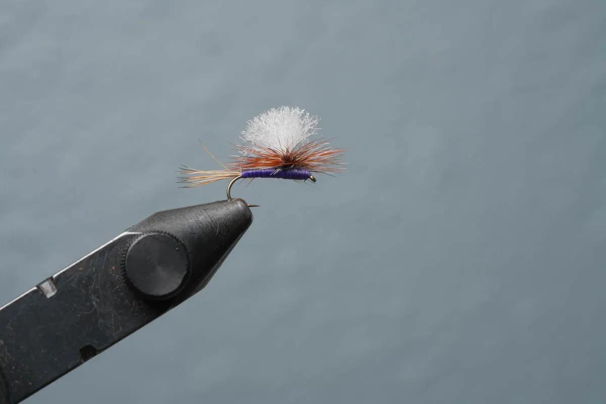 Parachute Purple Haze fly for trout A modern twist on a classic favorite, the Parachute Purple Haze is a very successful fly for trout from New Zealand to Patagonia and anywhere else trout swim.