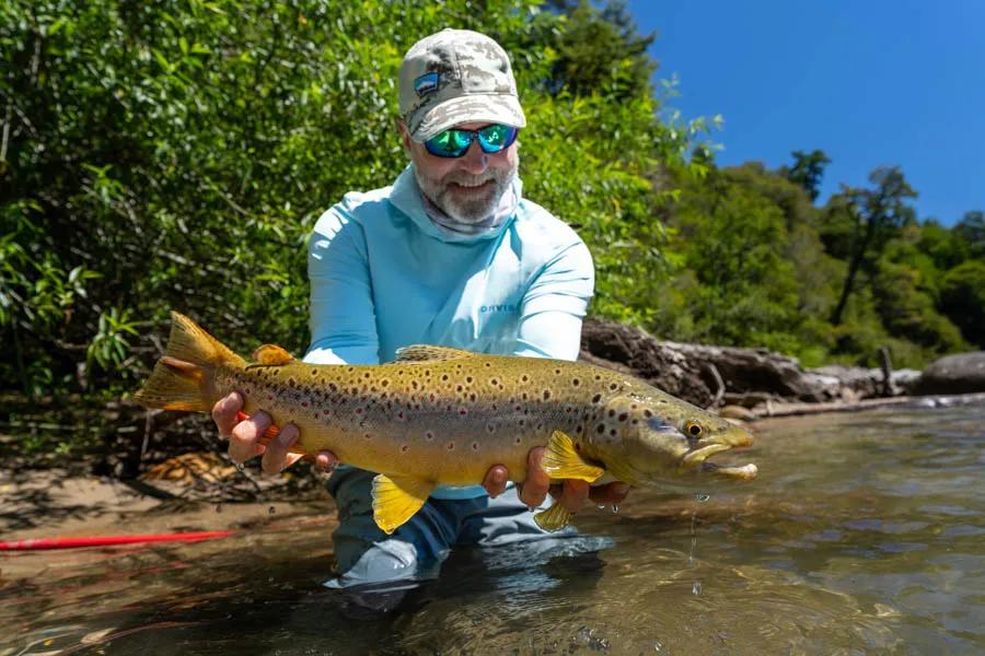 Fly fishing in Chile One of the many aggressive browns that we landed on our second day fishing the upper reaches of the "Fig".
