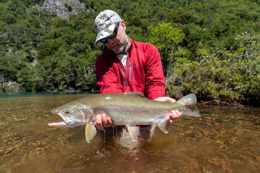 Rainbow trout in Chilean Patagonia Rainbow trout in Chilean Patagonia