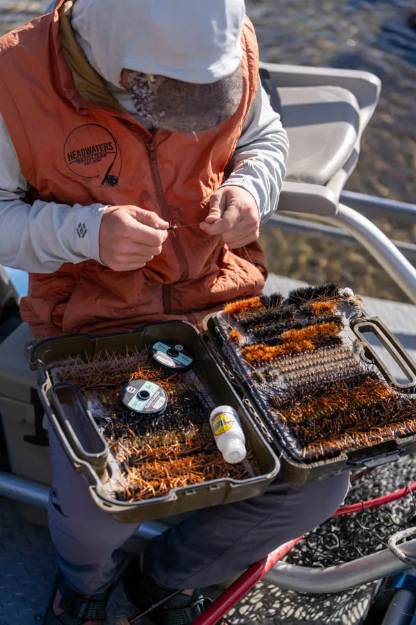 dry flies in chile
