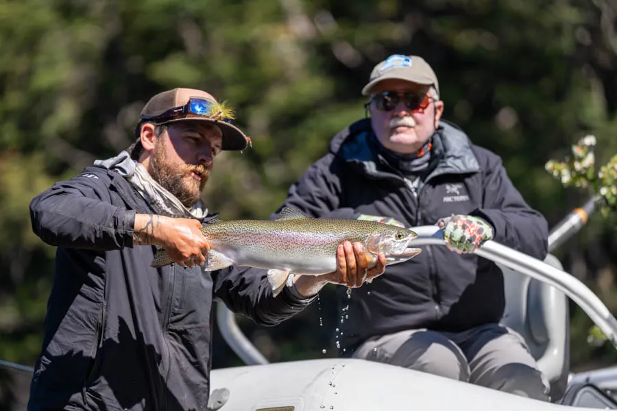 rainbow trout in Chile