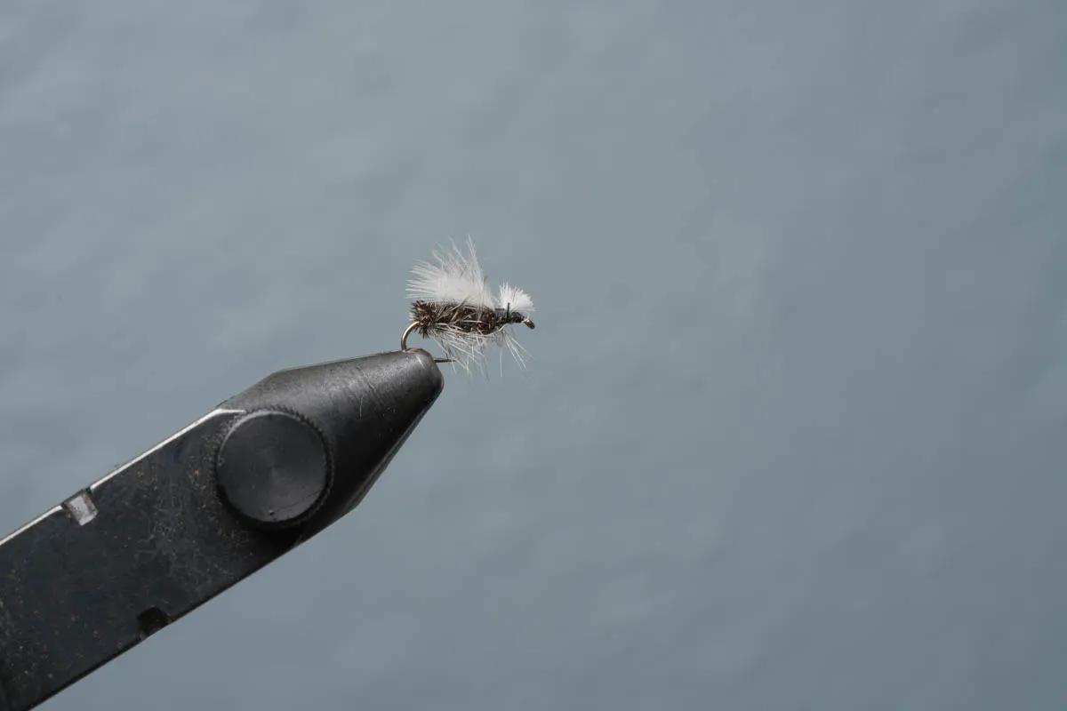 Midge fly fishing in Montana near Big Sky and Bozeman Montana Midges are a consistent spring hatch on Montana's rivers and creeks. Clusters and clumps of midges are easy pickings for hungry trout.