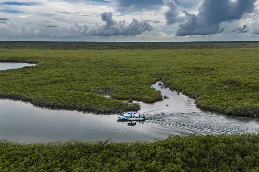 Mexico flats fishing
