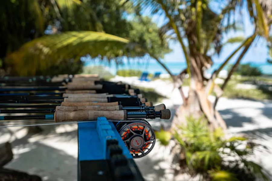 Mayazul fishing