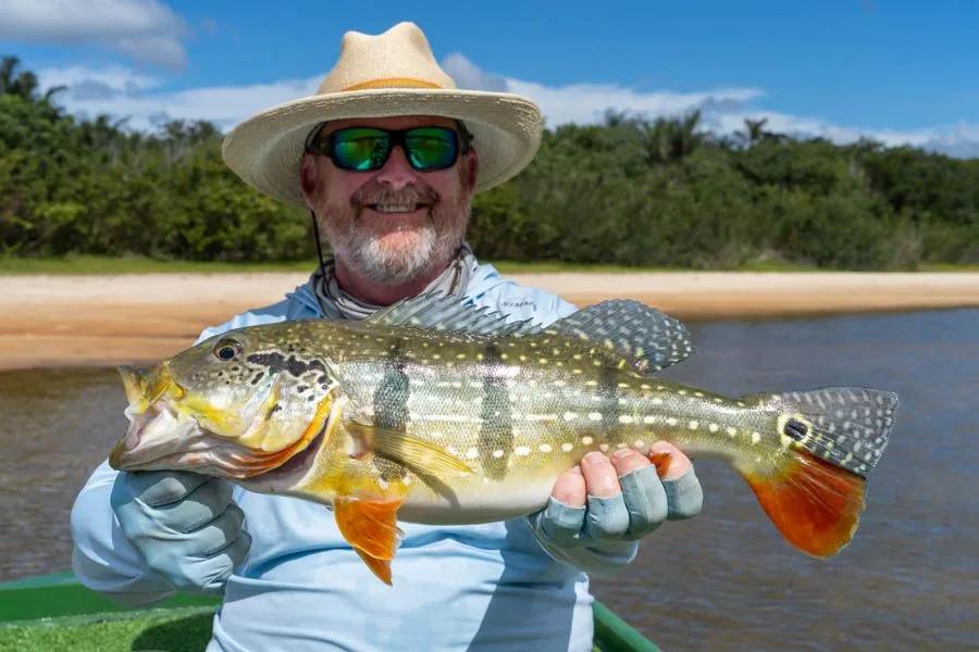 Peacock bass fly fishing trips There are three species of peacock bass patrolling the waters near Agua Boa Lodge: the butterfly, spotted and temensis.