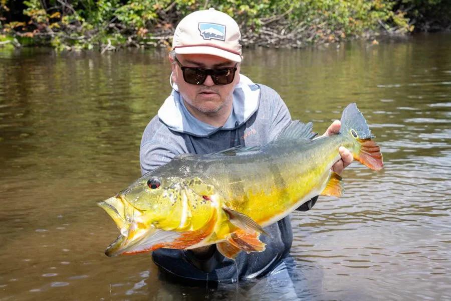 Fly fishing the Amazon for trophy-sized fish Peacock bass are the primary target at Agua Boa Lodge, but nearly a dozen other species are available to anglers.