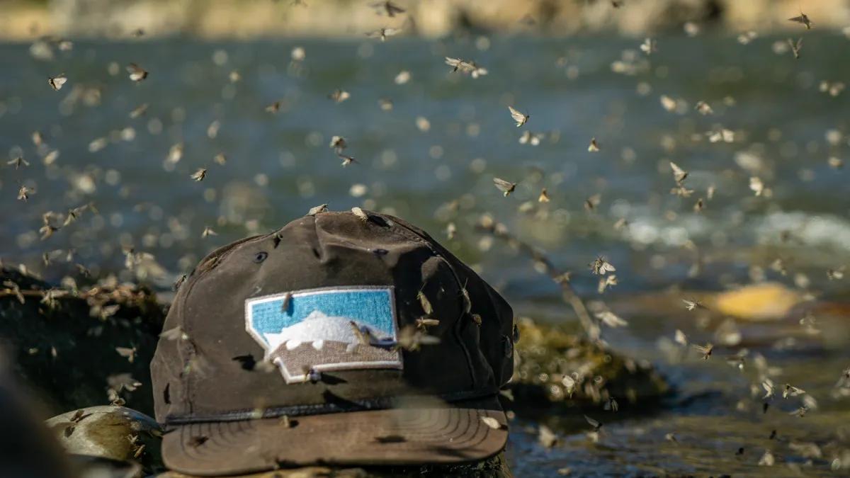 Montana fly fishing trip planning and advice Planning a fly fishing trip to Montana can be as much fun as the actual trip itself.