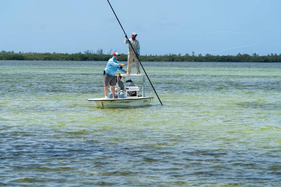 Fly fishing for Cuba with Montana Angler. Each day the guides put in place to cast to numerous schools of a hundred to a thousand bonefish--yes schools of a thousand bonefish.
