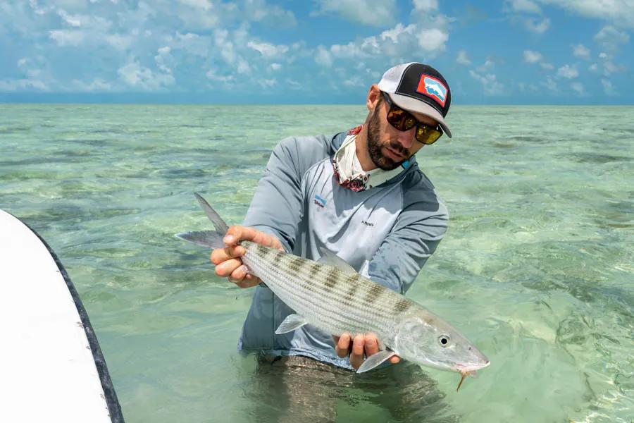 Cuba fly fishing trips with Montana Angler Bonefish are plentiful on the saltwater flats of the Cayo Largo area of Cuba. Pods of hundreds of bonefish are common as are singles and doubles, some of which push the 10-pound mark.