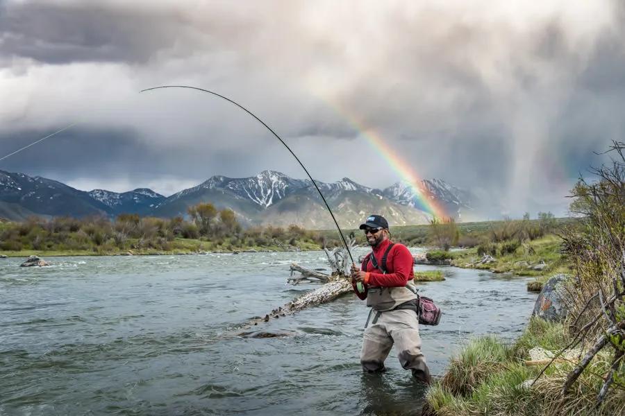 Madison River fly fishing trips When setting the hook during runoff and high water, be sure to set it quickly and aggressively.
