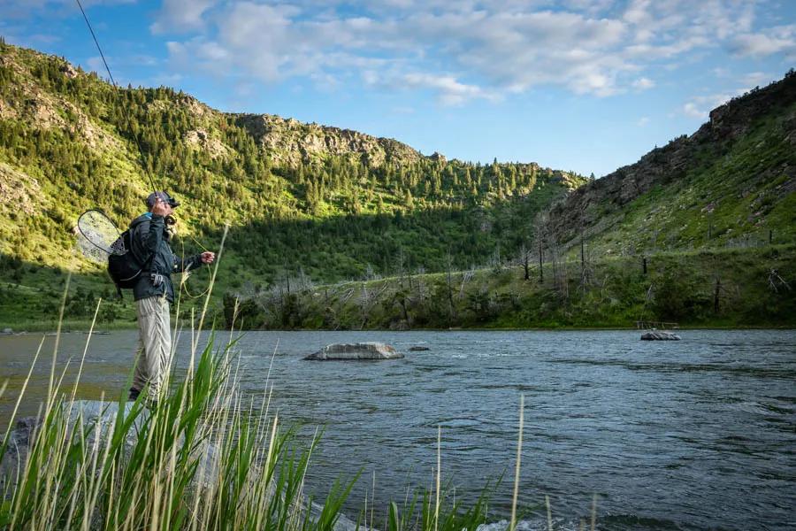 Bozeman Montana fly fishing trips Fly fishing near Bozeman Montana has some of the planet's highest concentration of accessible, high-quality trout rivers. Within 100 miles of Bozeman anglers can choose from big rivers, small streams and spring creeks, or even lakes.