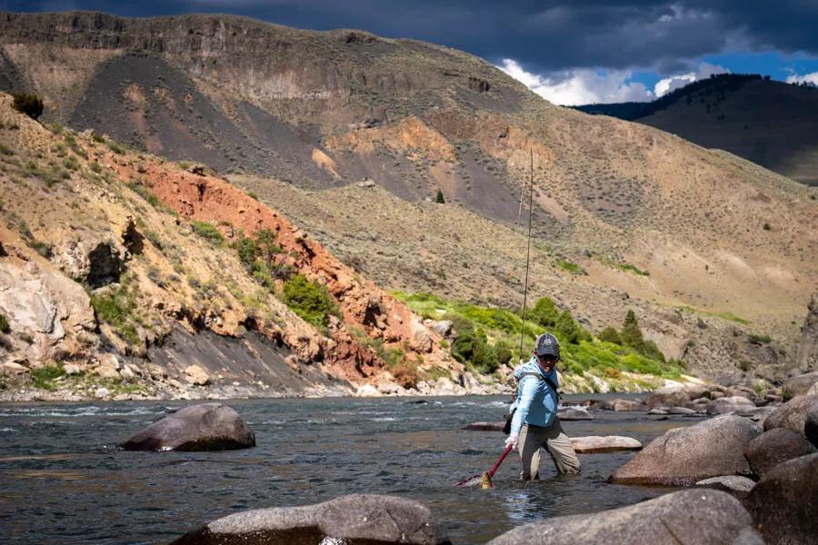 Montana Angler fly fishing trips in Yellowstone National Park The Black Canyon of the Yellowstone River is the lowest section of the river that lies in Yellowstone National Park. The salmonfly hatch in the Black Canyon is one of the longest duration of any salmonfly hatches in the region.