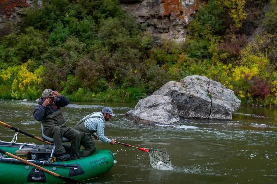 Montana Angler fly fishing Fly fishing is a visual sport. Fishing a dry dropper allows you to see your fly but also fish for fish that you can't see.