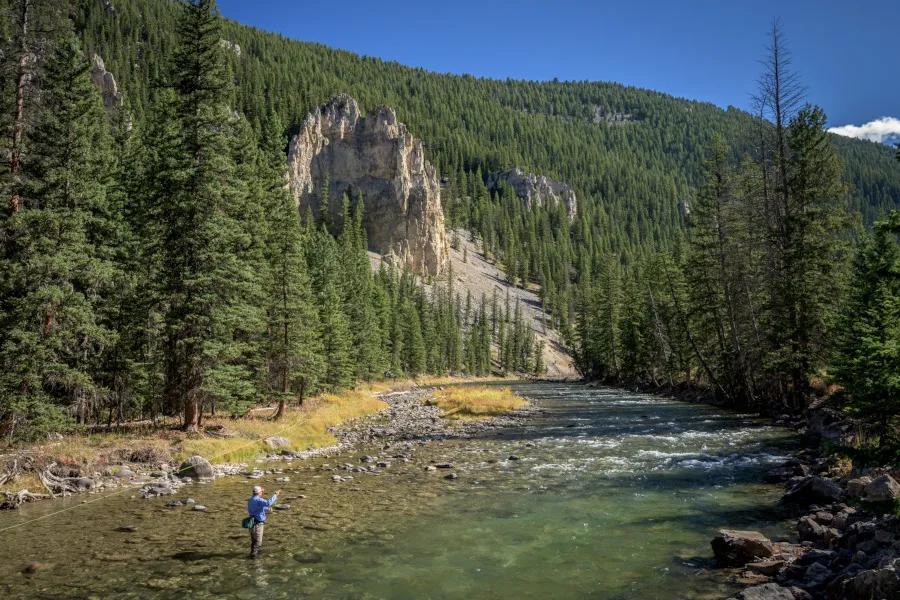 Fishing the Gallatin River near Big Sky and Bozeman Montana The Gallatin River flowing near Big Sky and down into the Bozeman valley is a walk-and-wade angler's ideal mountain stream. Home to good populations of rainbow, brown, and cutthroat trout anglers on the Gallatin can enjoy hatches of caddis and mayflies.