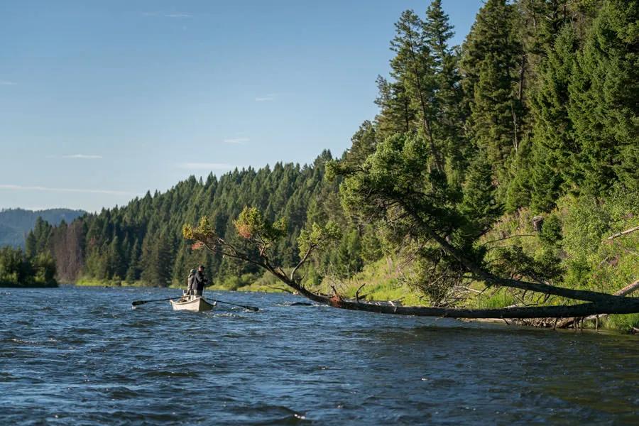 Montana fly fishing trips with Montana Angler Bankside structure such as overhanging branches, logs, boulders, or steep banks can be ideal habitat for a large trout to ambush prey.