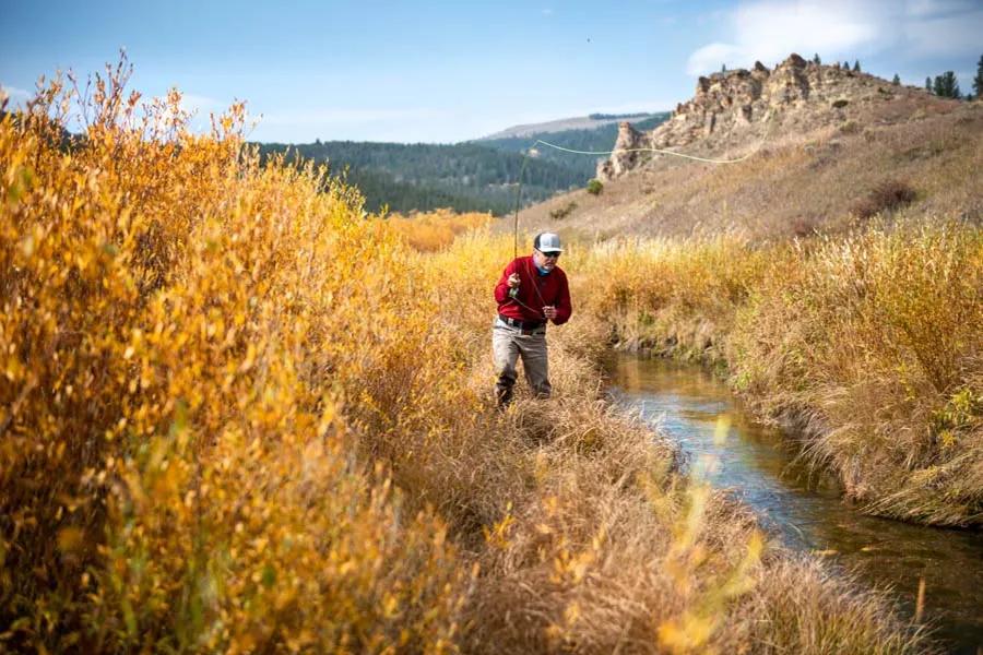 Montana Angler fly fishing trips with dry flies. When fishing terrestrials being flexible to always adjust your leader length and tippet size is crucial to success. It is a good idea to fish stouter leaders and tippets when fishing terrestrials because you need to cast larger flies and when fishing near the bank you are more likely to snag up.