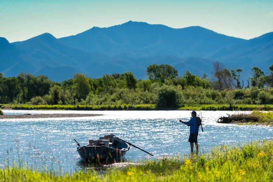 Montana fly fishing in summer
