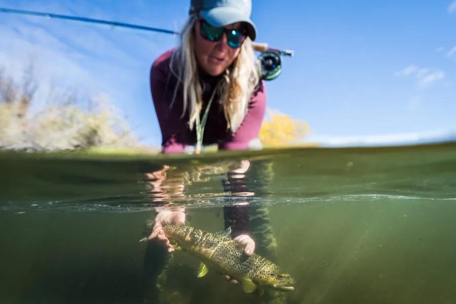 A wide range of actions are available for anglers choosing a fly rod. From fast action, stiff actions to slow, supple actions, the action of a fly rod is a defining characteristic. A medium-fast or medium action fly rod is the most versatile. 