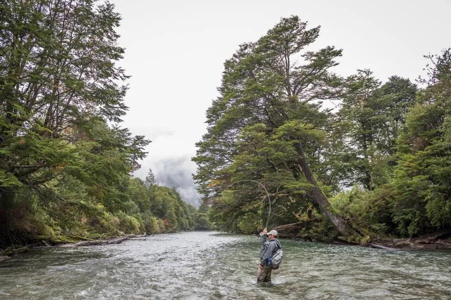 River of Dreams Basecamp in Chile with Montana Angler The River of Dreams has a variety of riffles and runs to accompany the abundant log jams and structure.