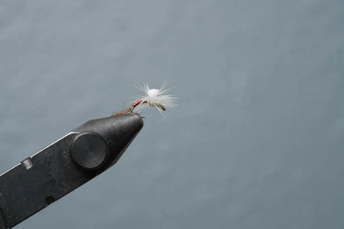 Montana Angler fall fly fishing trips near Bozeman, Montana The Brooks Sprout Baetis is a very versatile fly for fall fly fishing in Montana. Originally designed to be an emerger, many guides fish it for adult mayflies.