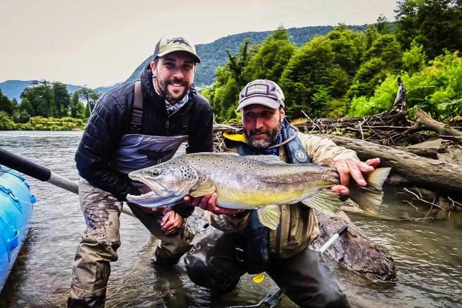 Montana Angler River of Dreams Basecamp in Chile The brown trout in the River of Dreams revel in the abundant structure. The structure creates ideal habitat for these big fish to ambush unsuspecting prey.