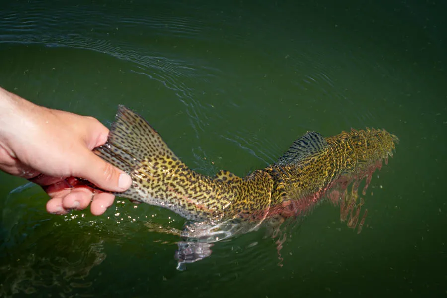 Montana Private Lake Fishing