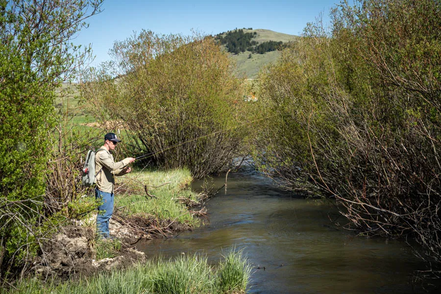 NF Smith River
