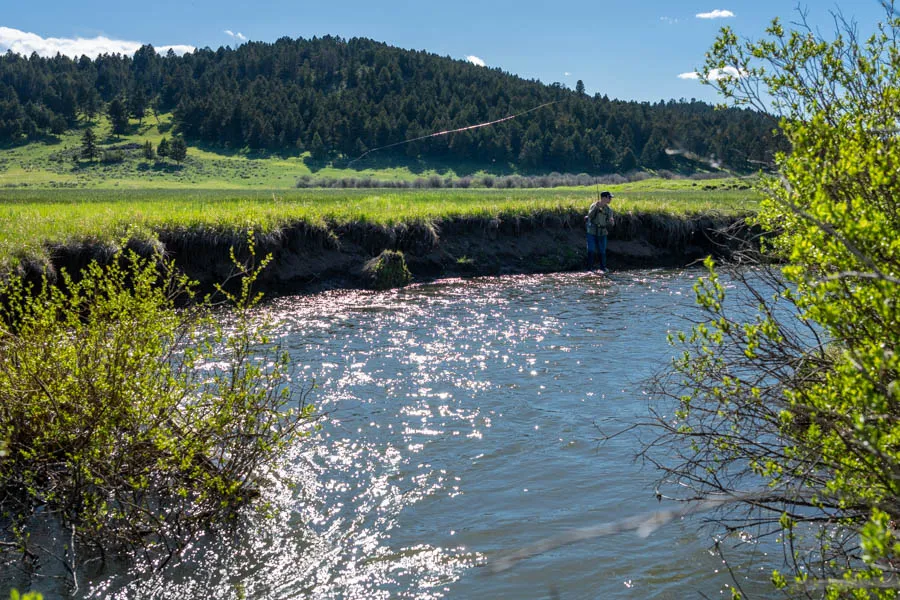 NF Smith River