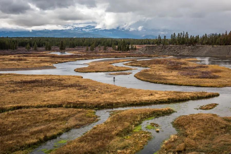 Montana Angler fly fishing trips to Yellowstone National Park Fall fly fishing on the Madison River means anglers can choose to float fish the famous waters around Ennis and Bozeman or target lake run trophy-sized trout running out of Hebgen Lake and into Yellowstone National Park.