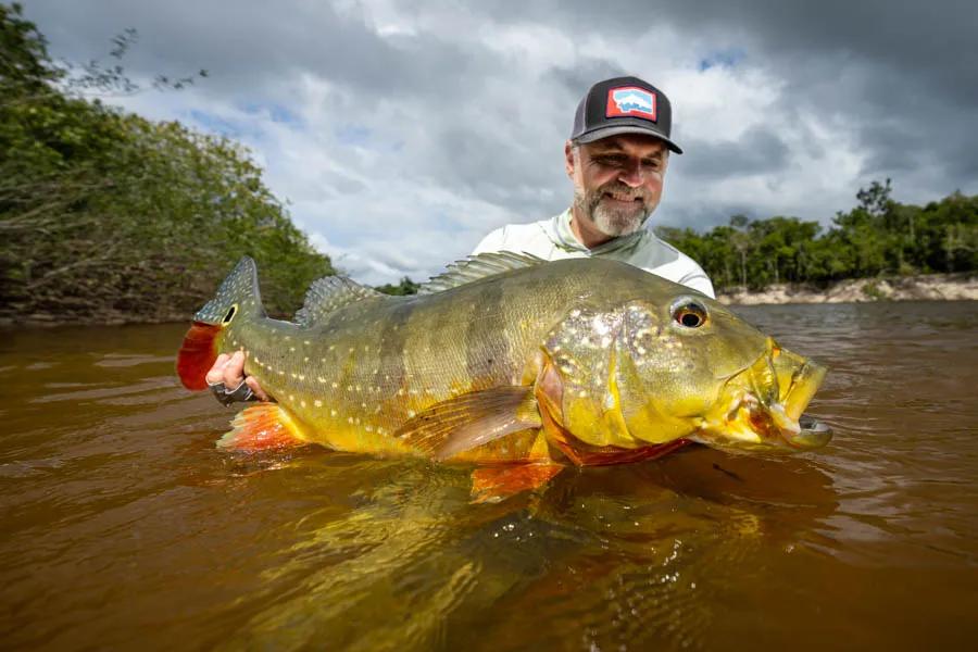 Large peacock bass in the Amazon are abundant, but being in the right place at the right time with the right gear and the right set of skills are important.