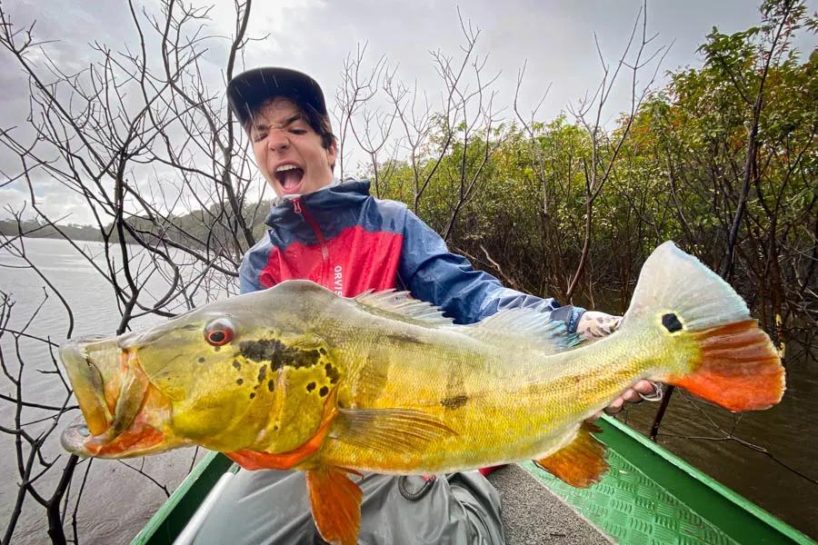 Large peacock bass in the Amazon are abundant, but being in the right place at the right time with the right gear and the right set of skills are important.