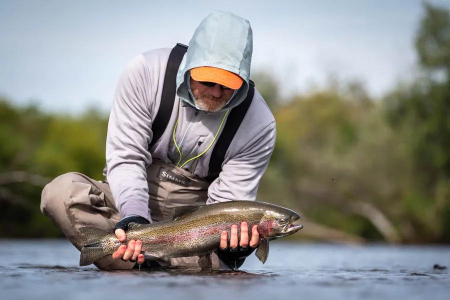 Rainbow trout Rainbow trout