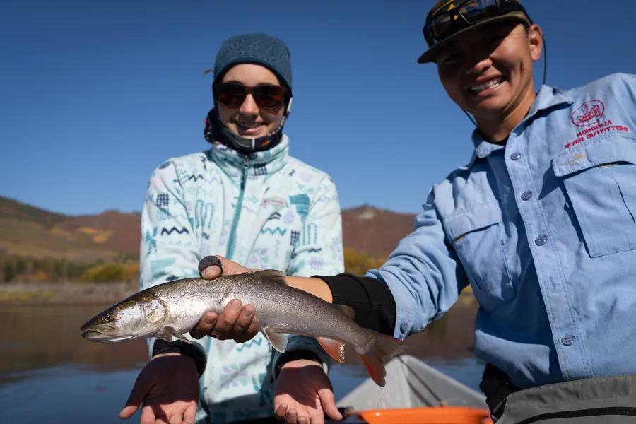 Mongolian Taimen Mongolian Taimen