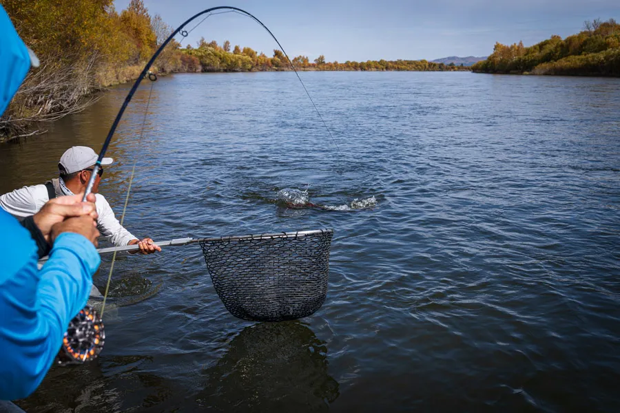 fly rods in Mongolia