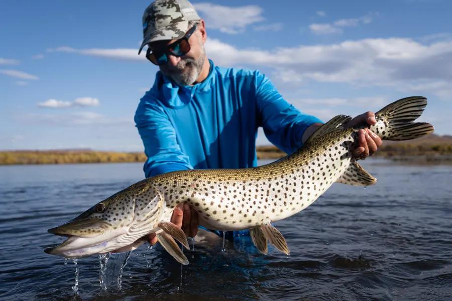 Amur pike in Mongolia Amur pike in Mongolia