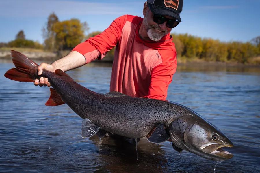 big taimen big taimen