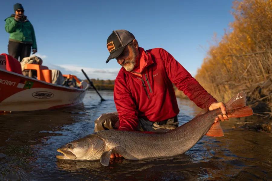 Taimen at sunset Taimen at sunset