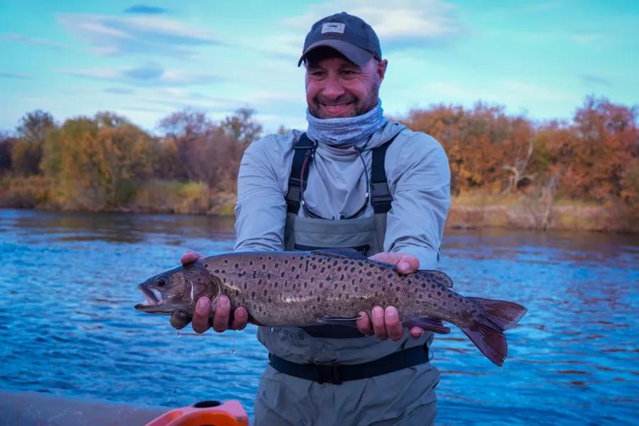 Amur trout Amur trout