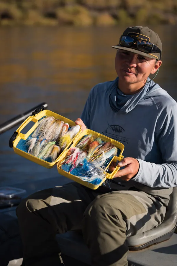 Mongolia flies